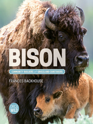 cover image of Bison